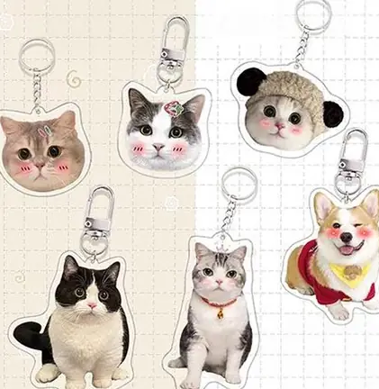 Autres porte-clés : Porte-clés acrylique sur mesure
